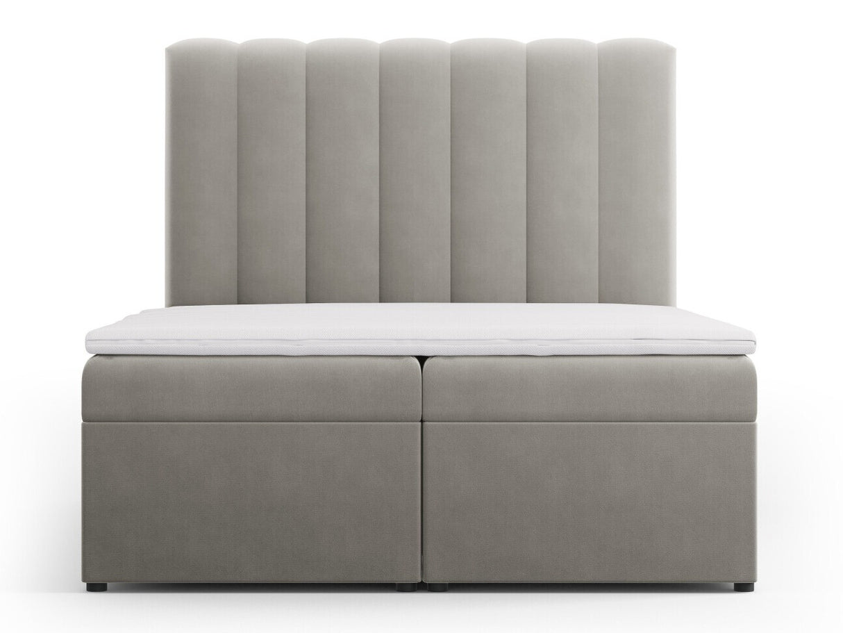 Continental lova 564246