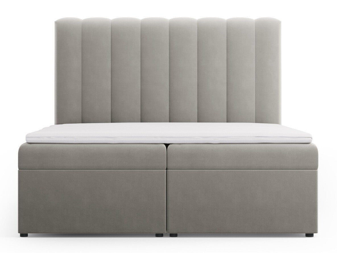 Continental lova 564246