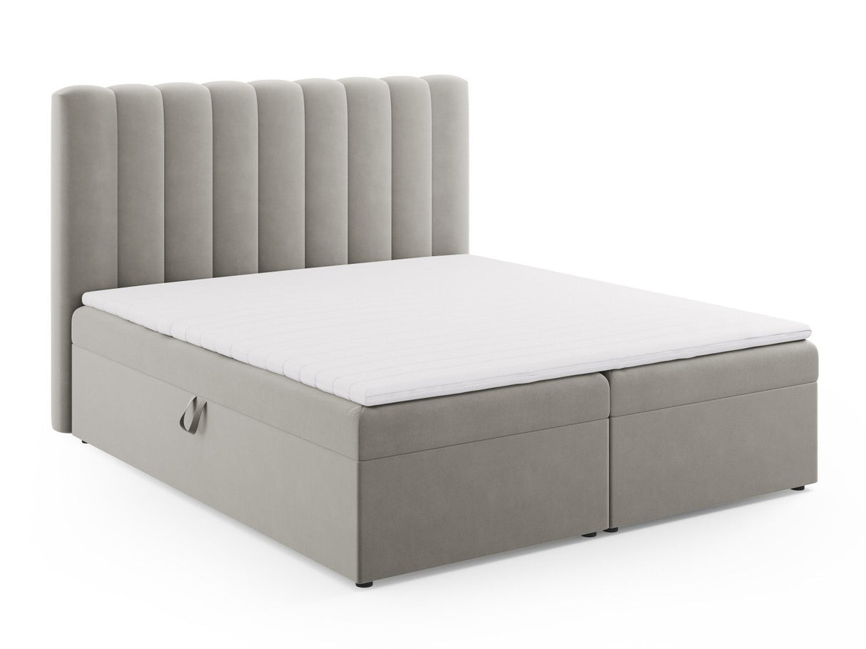 Continental lova 564246