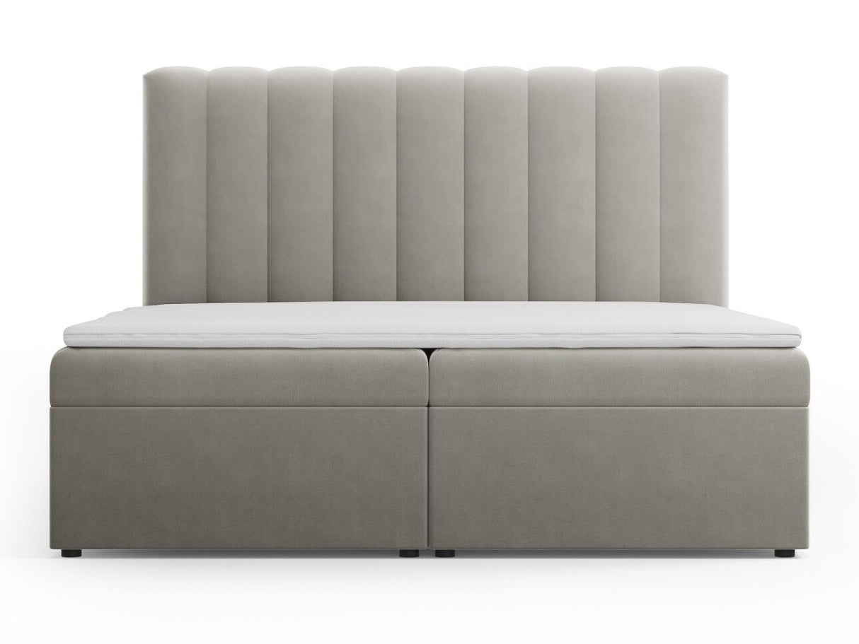 Continental lova 564246