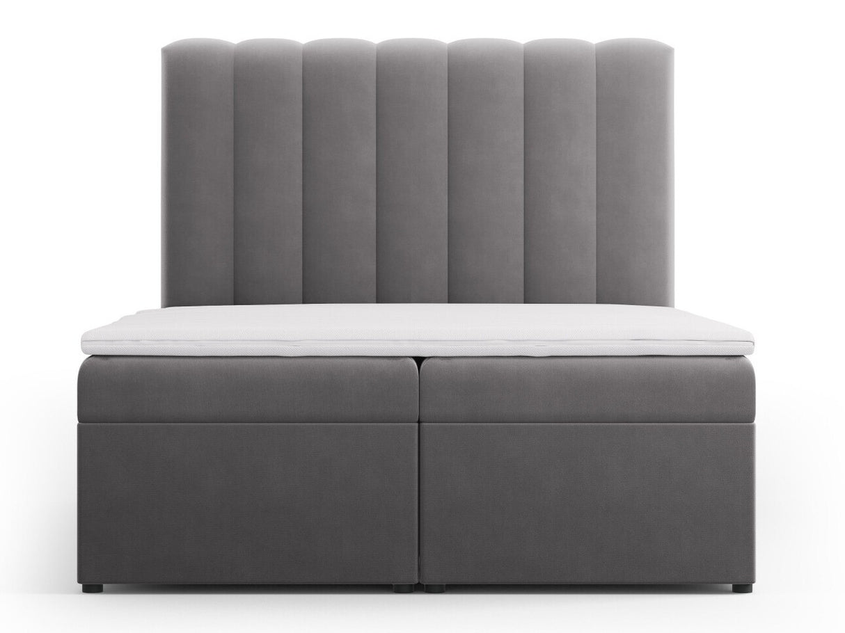 Continental lova 564246