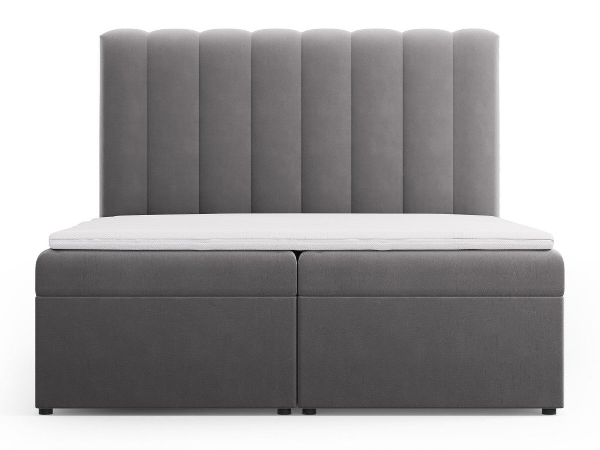 Continental lova 564246