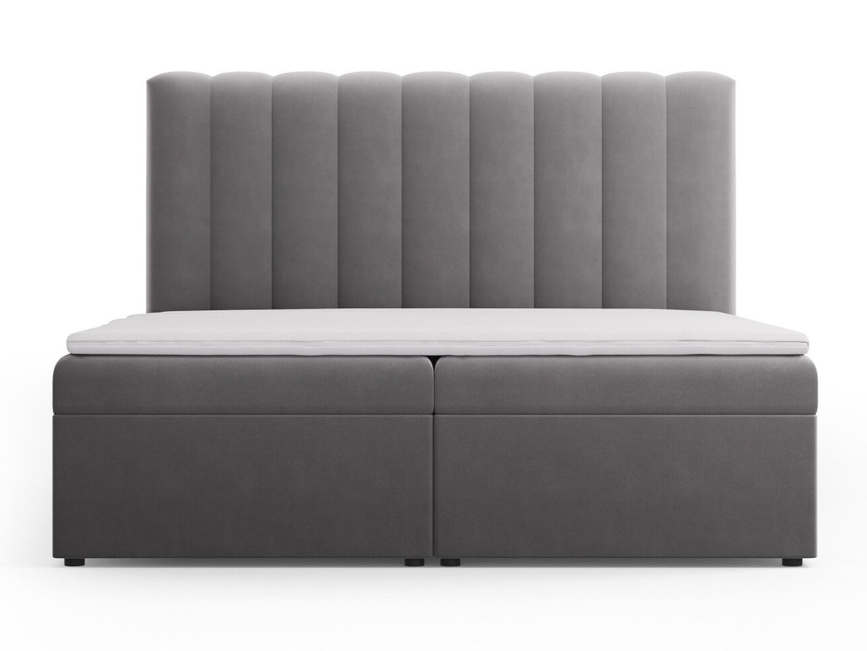 Continental lova 564246