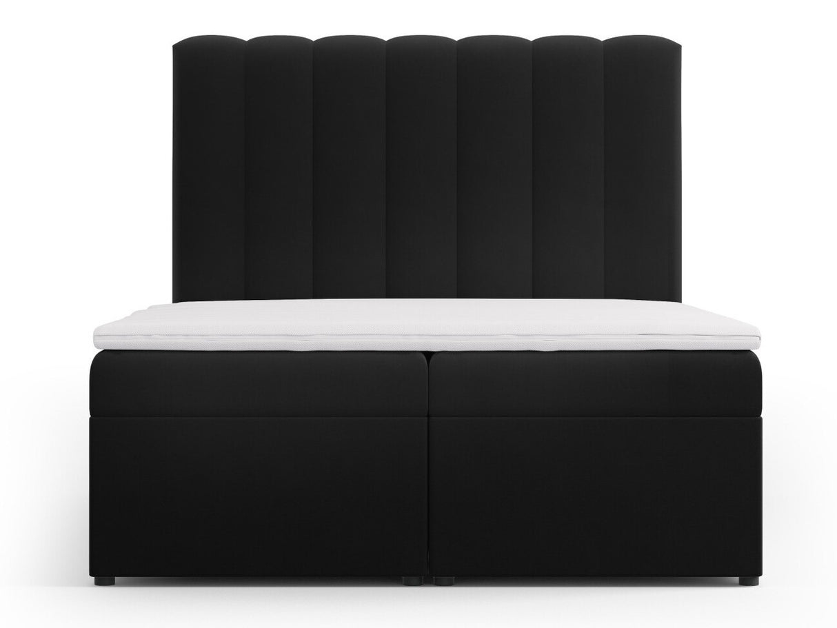 Continental lova 564246