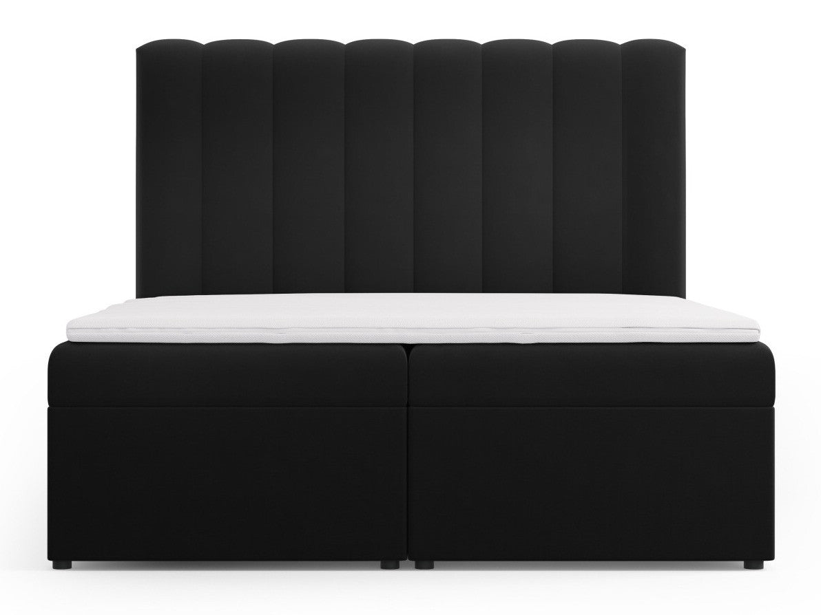 Continental lova 564246