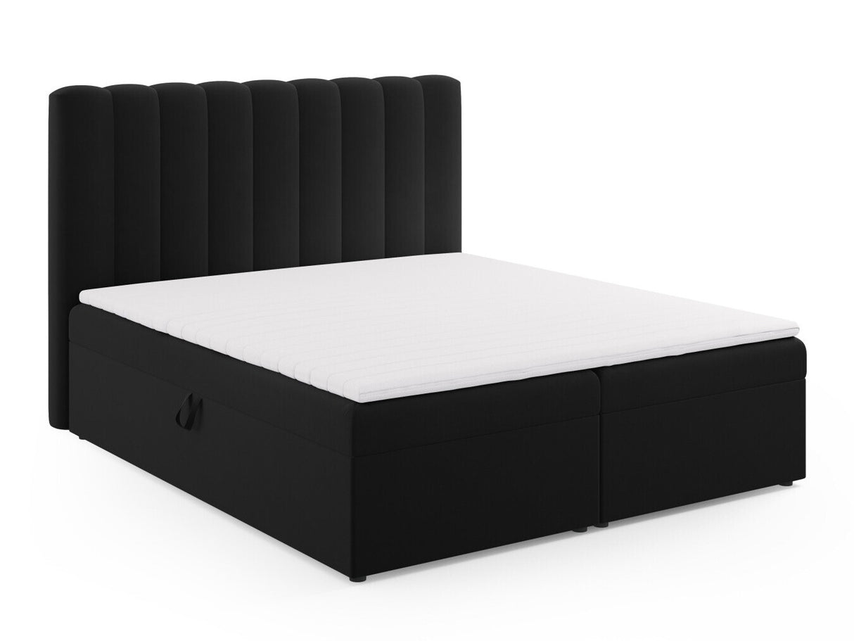 Continental lova 564246