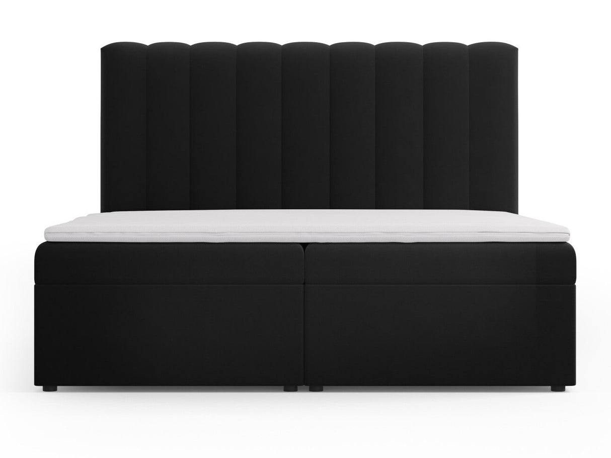 Continental lova 564246