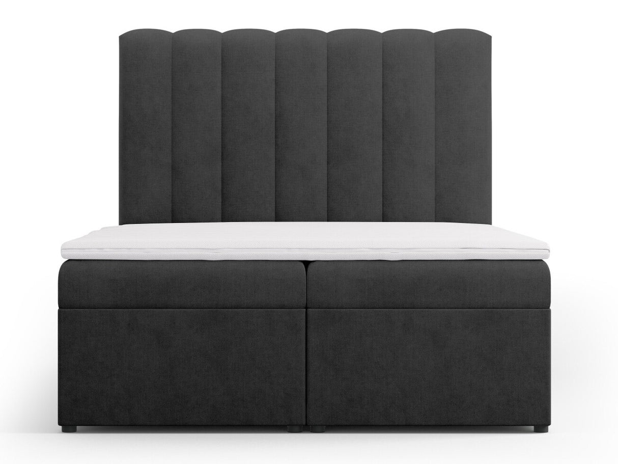 Continental lova 564246