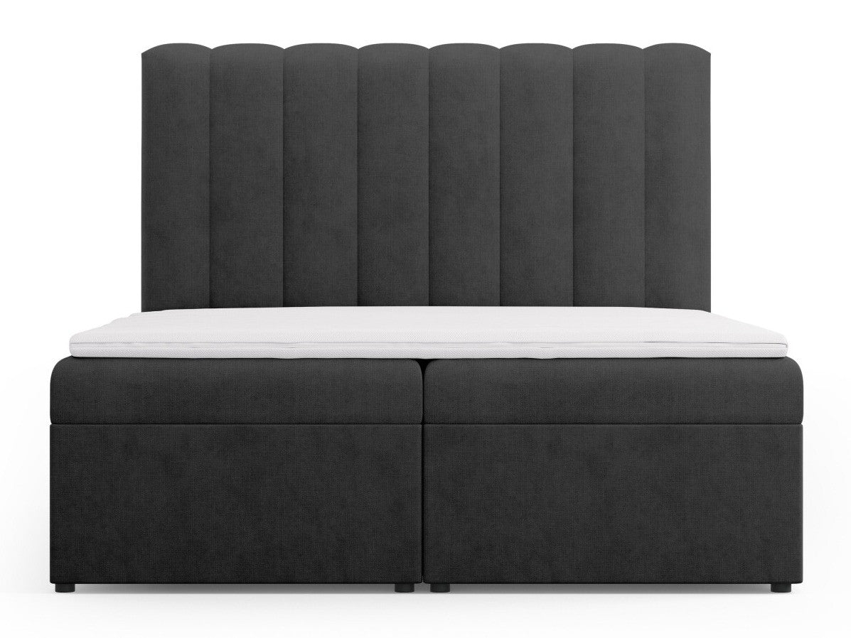 Continental lova 564246