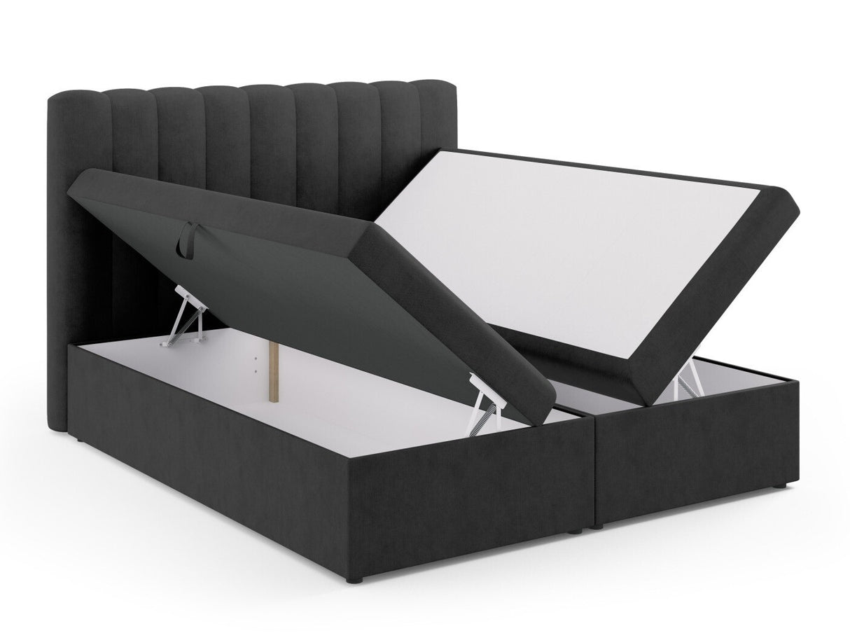 Continental lova 564246