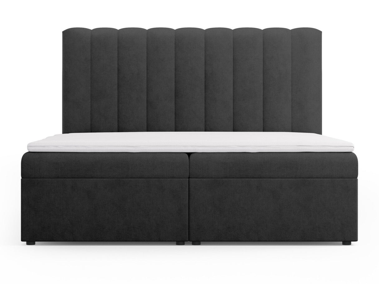 Continental lova 564246