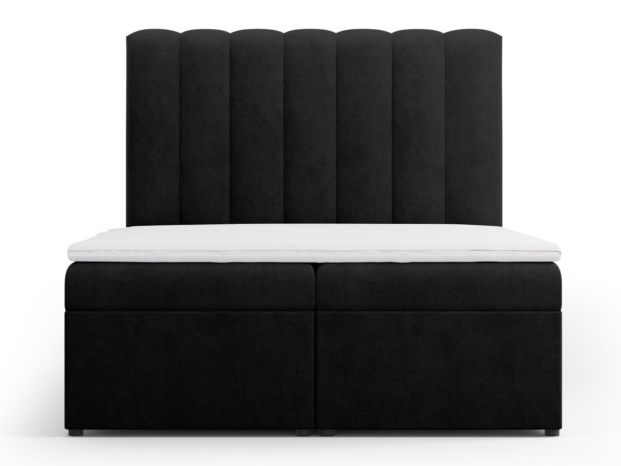 Continental lova 564246