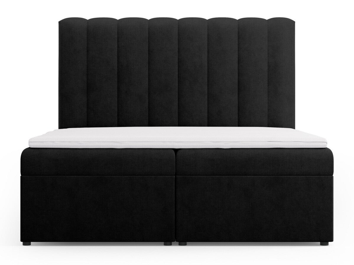 Continental lova 564246