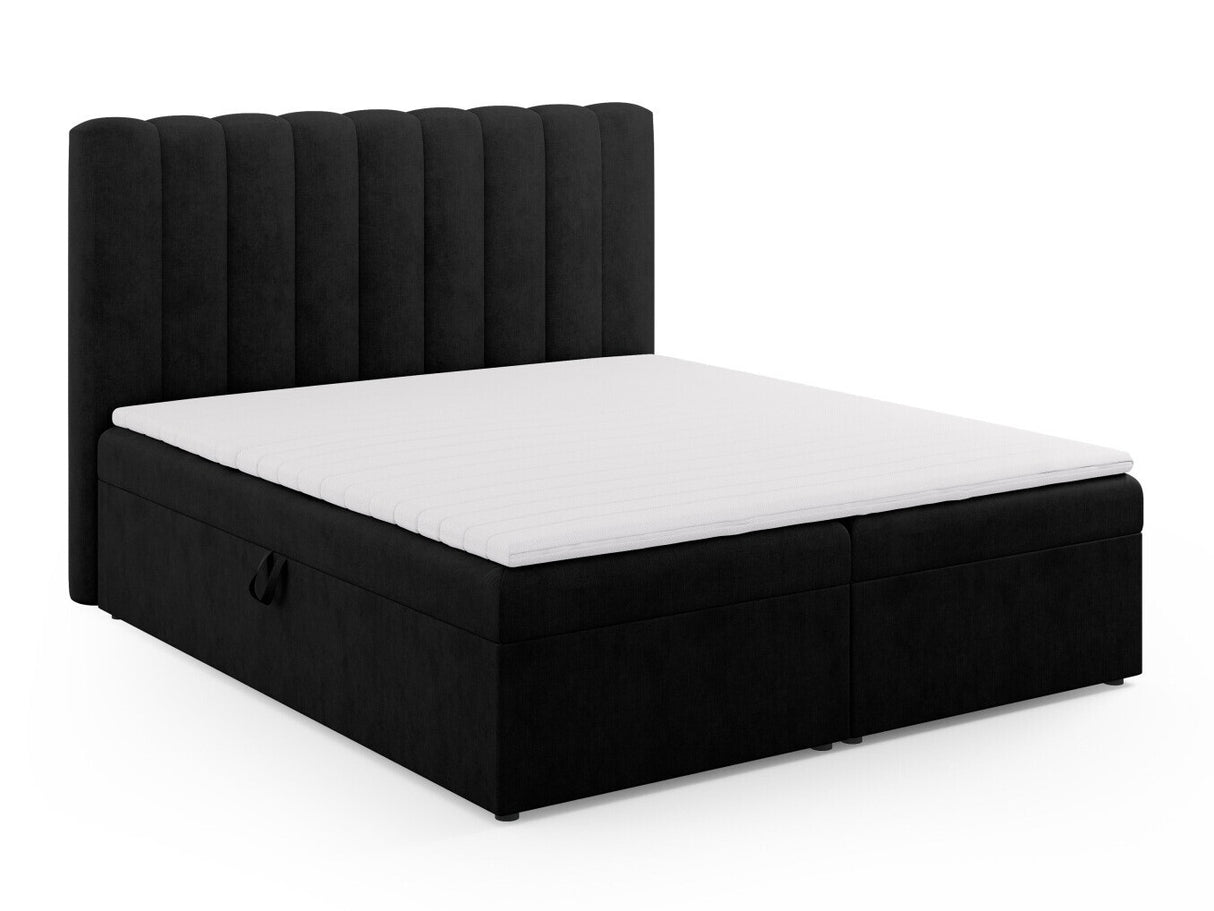 Continental lova 564246
