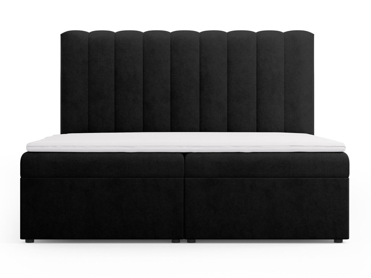 Continental lova 564246