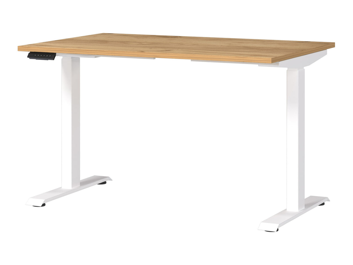 Reguliuojamo aukščio darbo stalas 528274 3799339