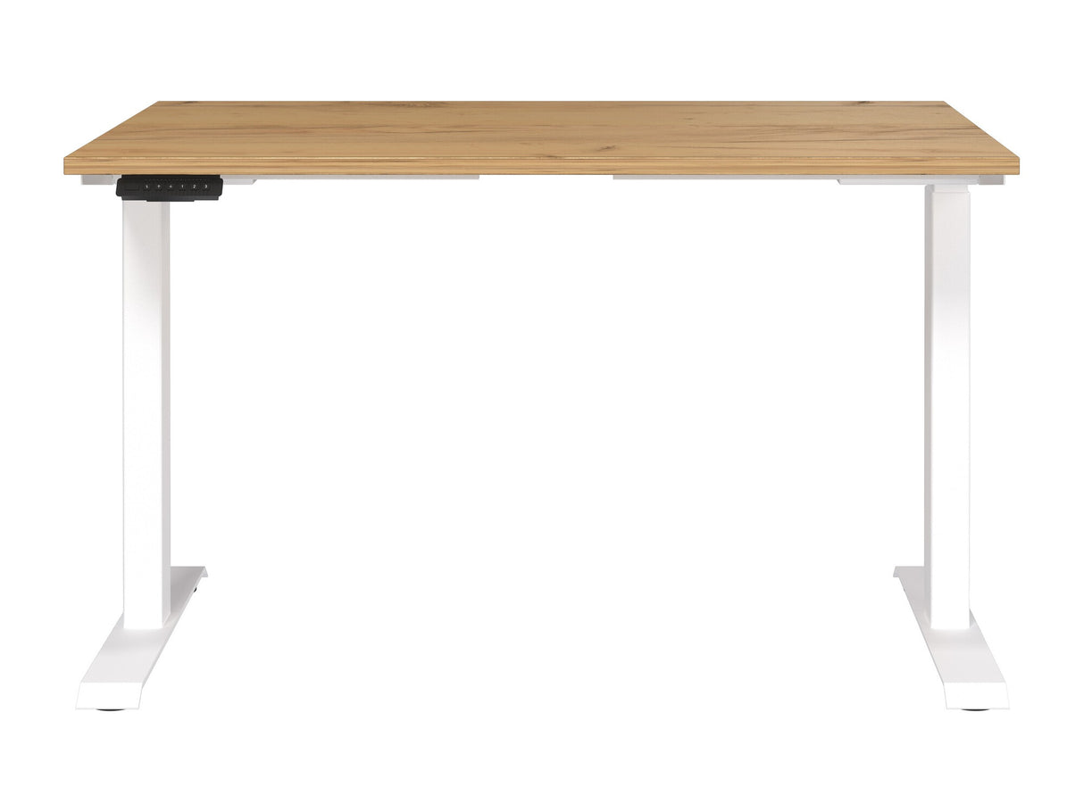 Reguliuojamo aukščio darbo stalas 528274 3799340