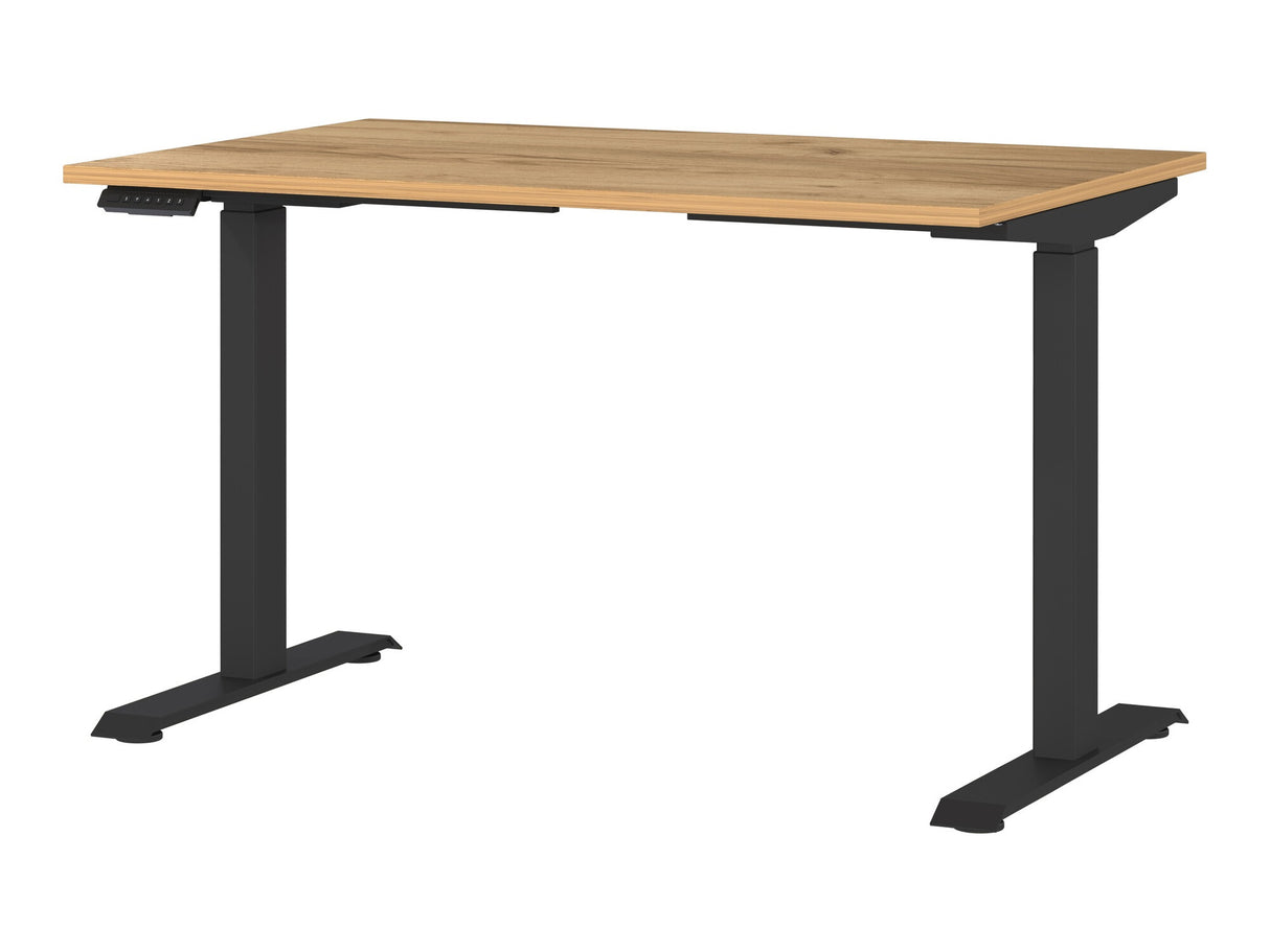 Reguliuojamo aukščio darbo stalas 528274 3799343