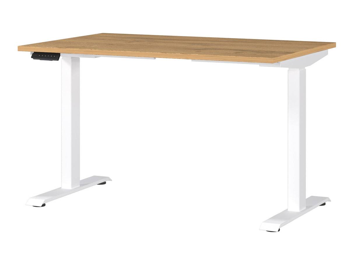 Reguliuojamo aukščio darbo stalas 528274 3799351