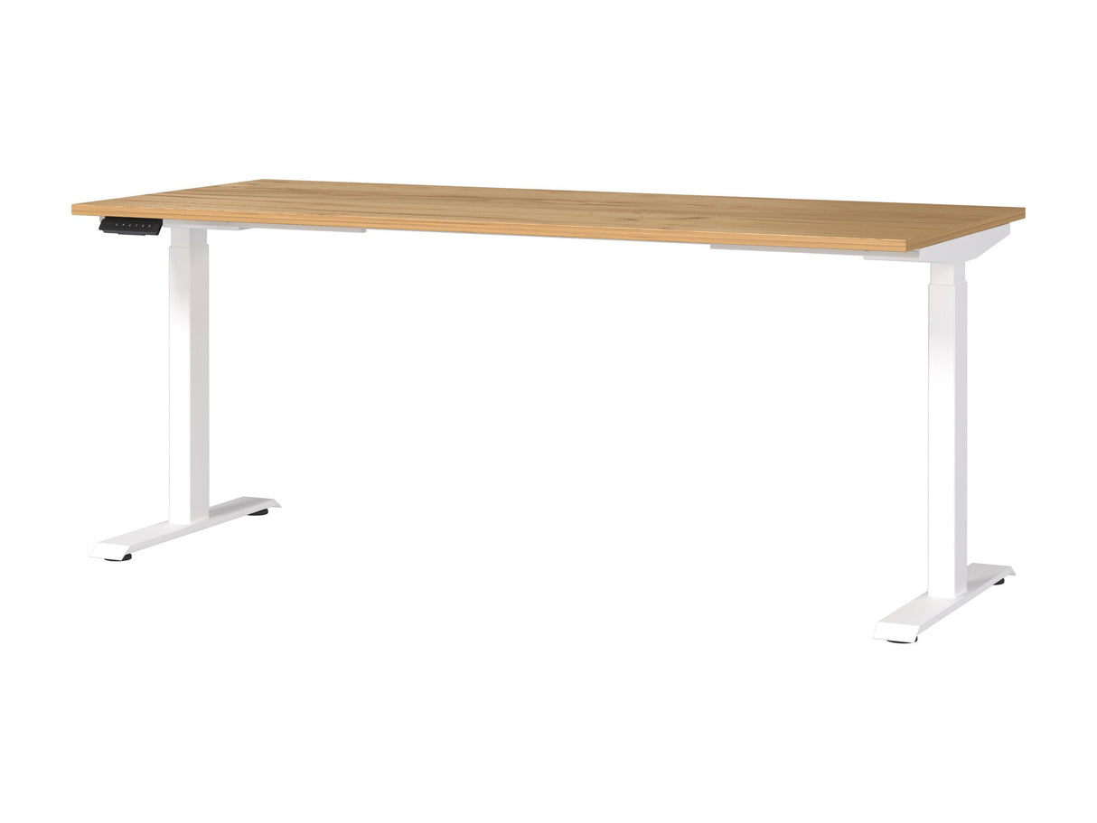 Reguliuojamo aukščio darbo stalas 528341 3799393