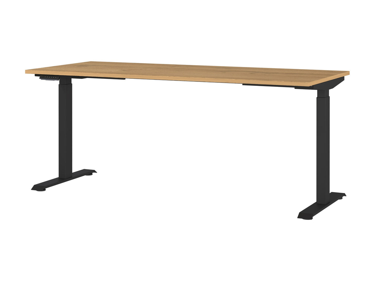 Reguliuojamo aukščio darbo stalas 555290 3799451