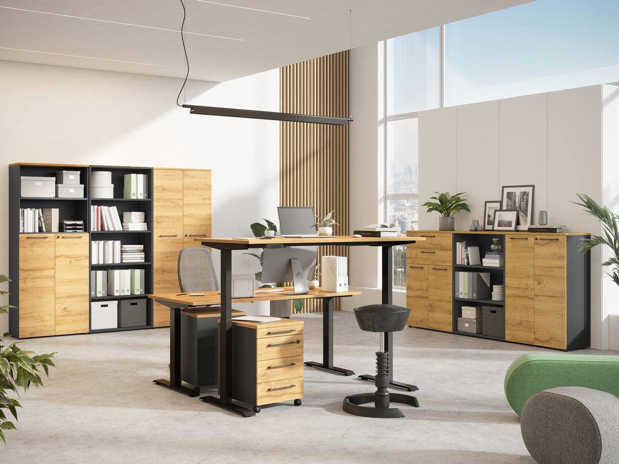 Reguliuojamo aukščio darbo stalas 555290 3799453