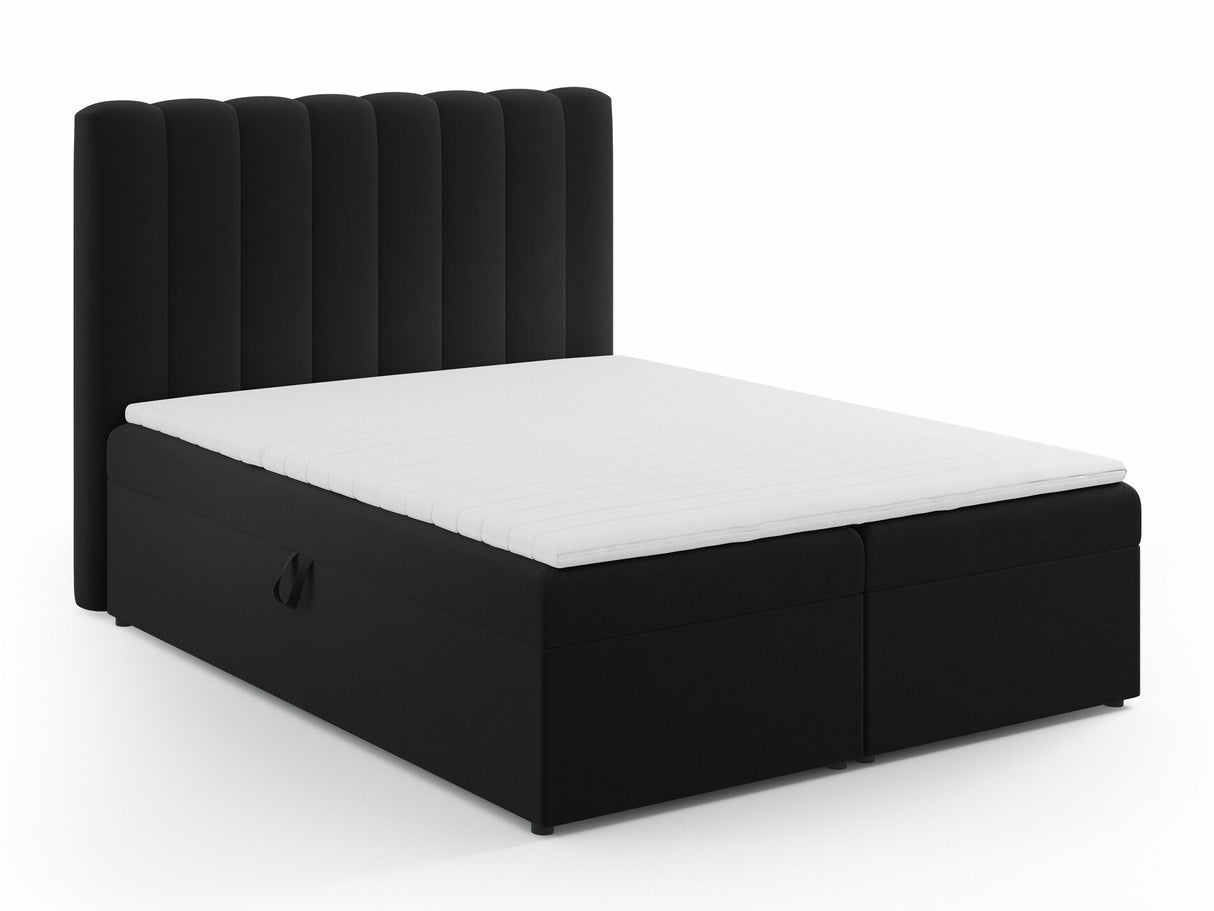 Continental lova 564246