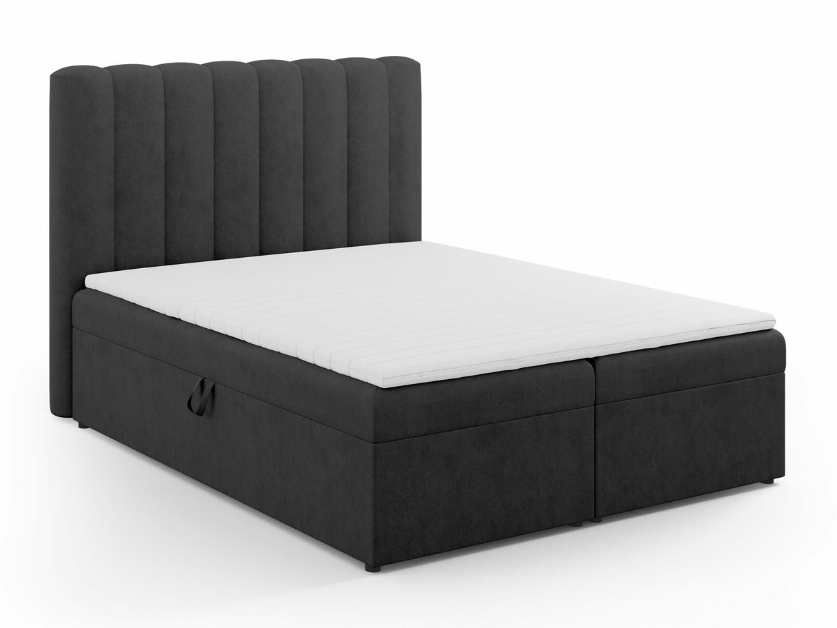 Continental lova 564246