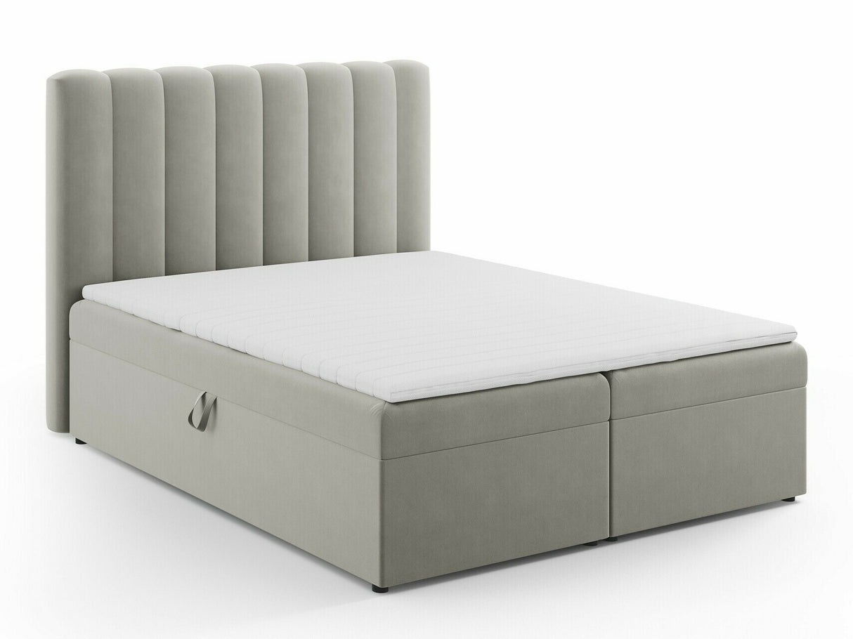 Continental lova 564246