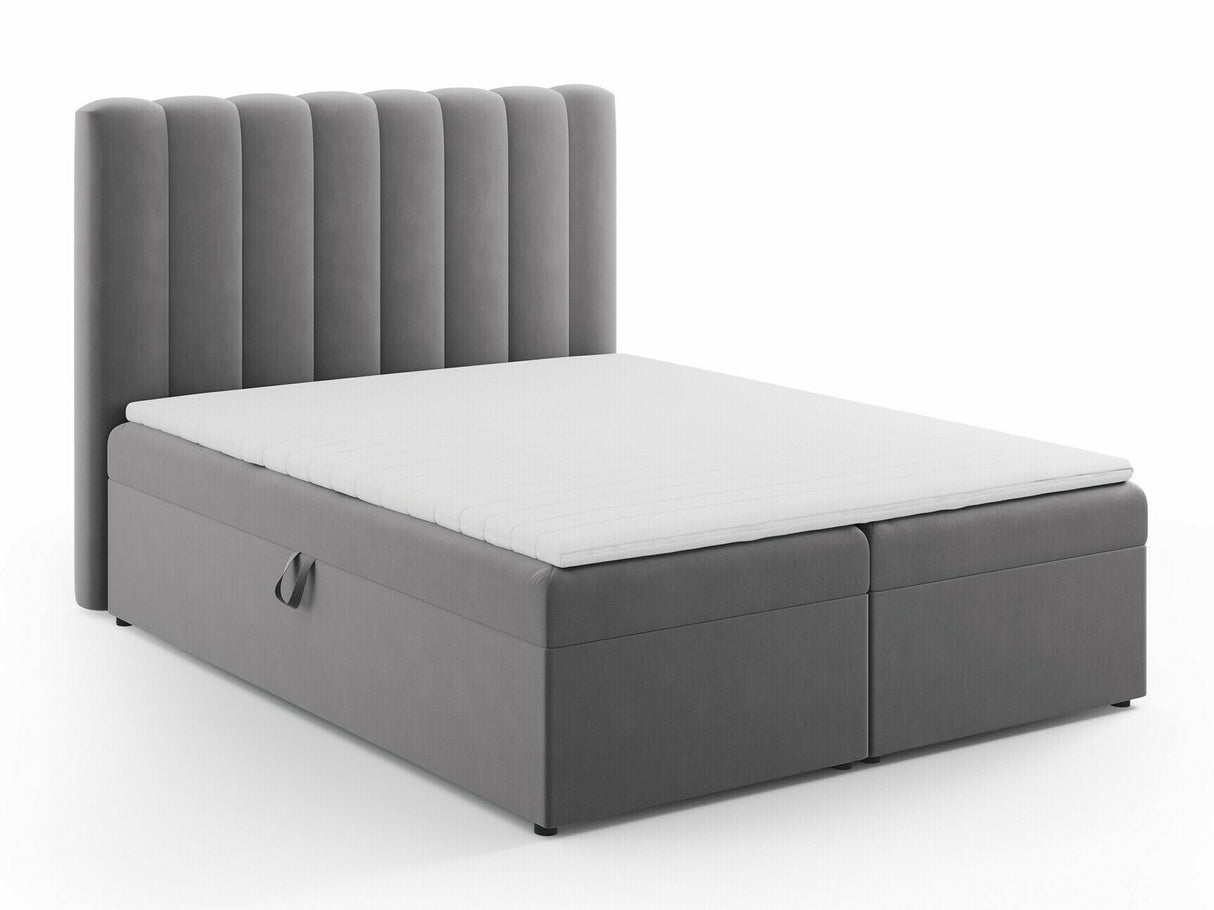 Continental lova 564246