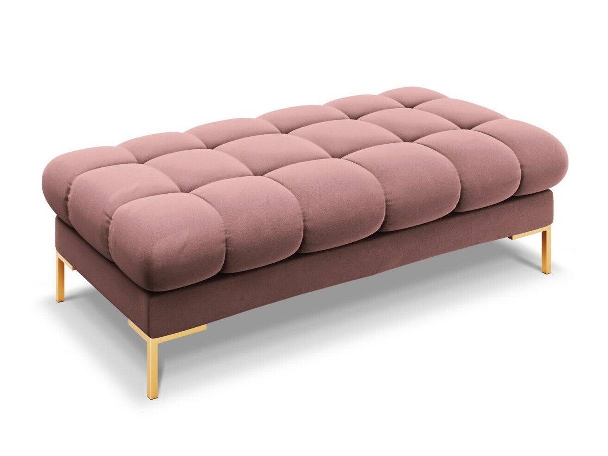 Minkštasuolis 538046 3805704