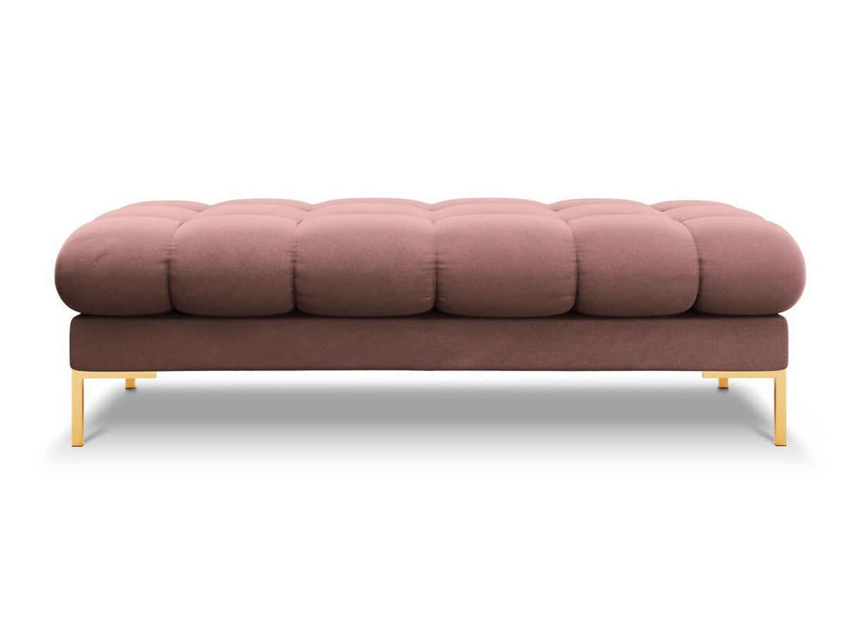 Minkštasuolis 538046 3805705