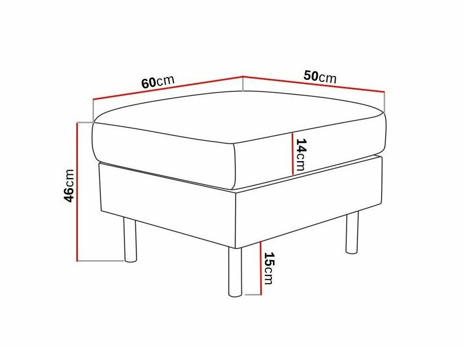 Pufas 223619 3866748