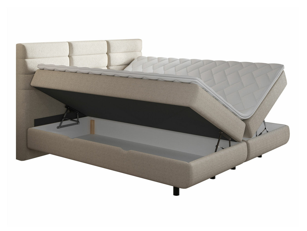 Continental lova 501441