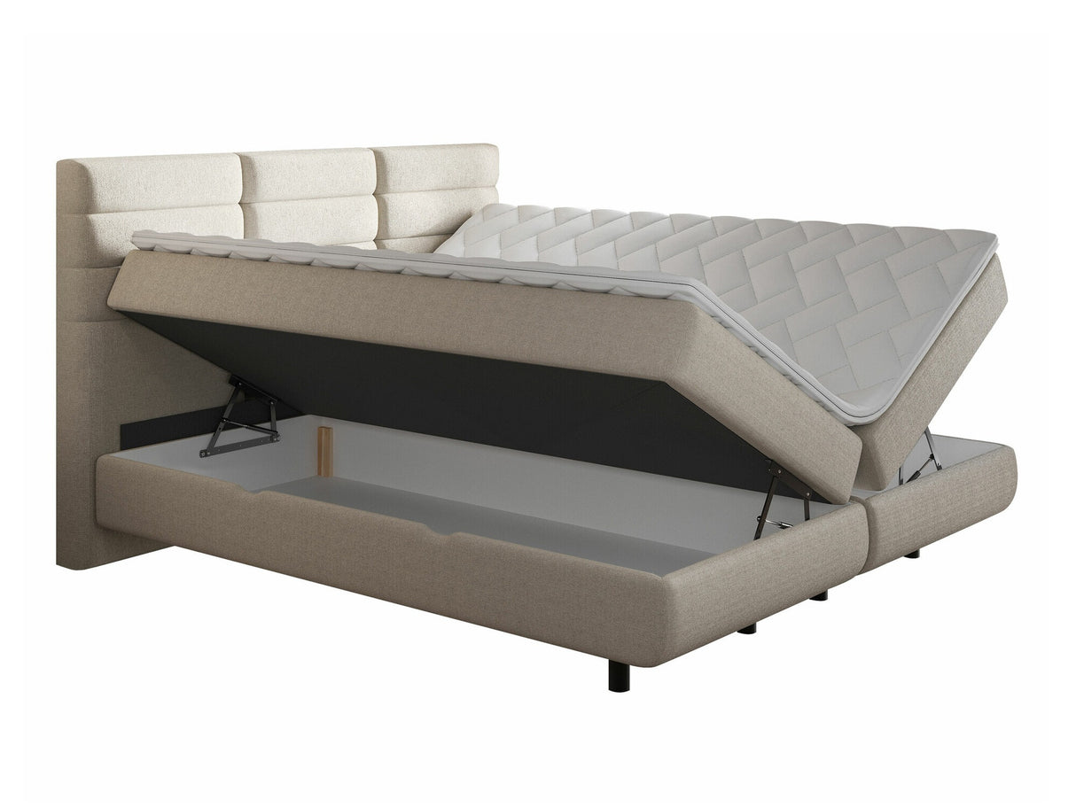 Continental lova 501441