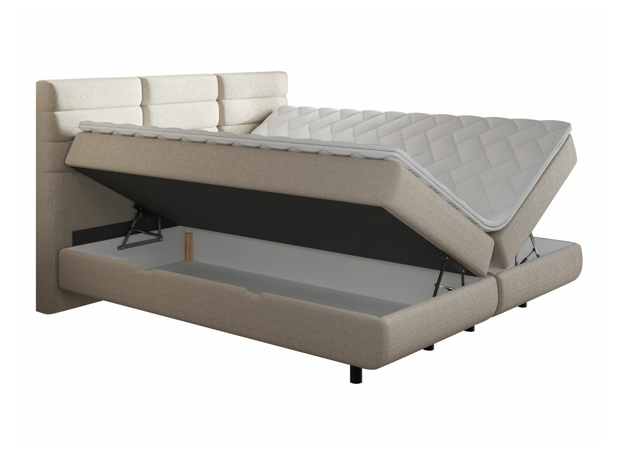 Continental lova 501441