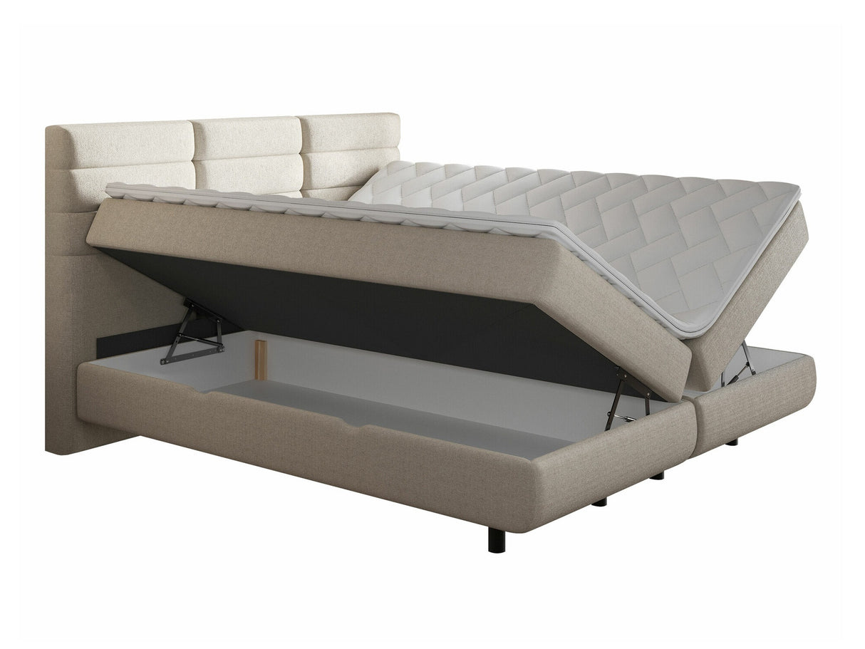 Continental lova 501441