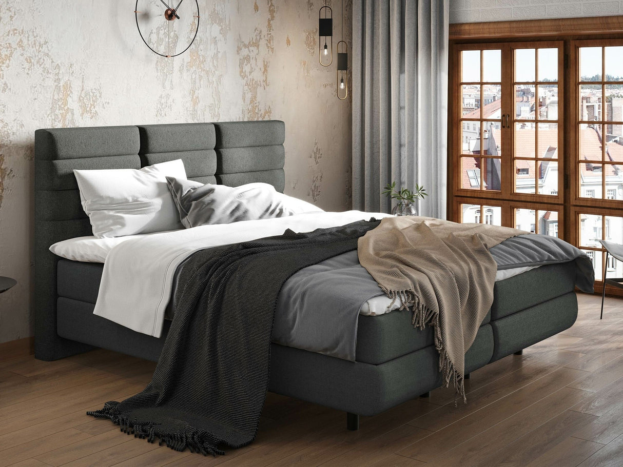 Continental lova 501441