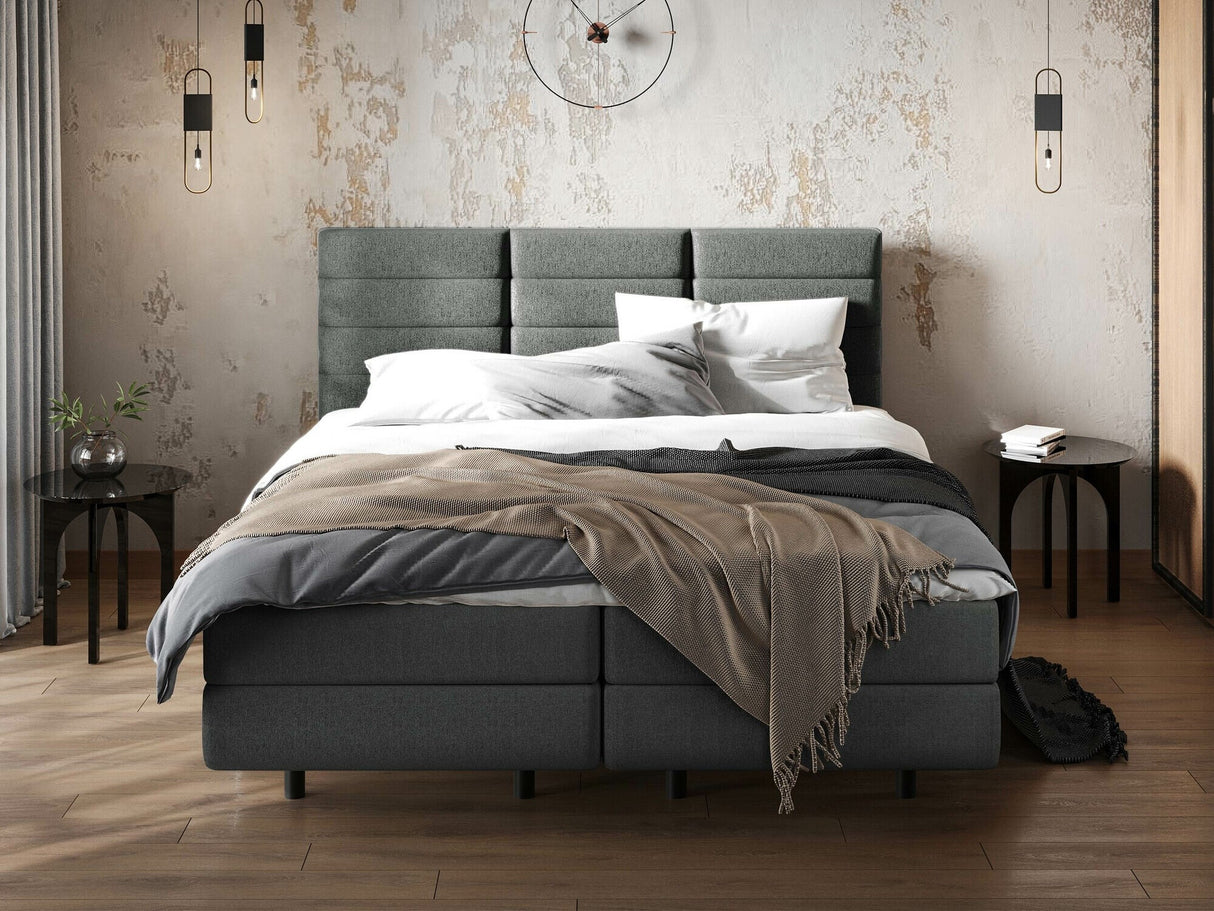 Continental lova 501441