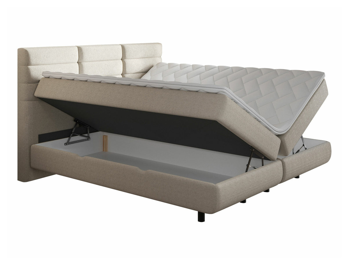 Continental lova 501441