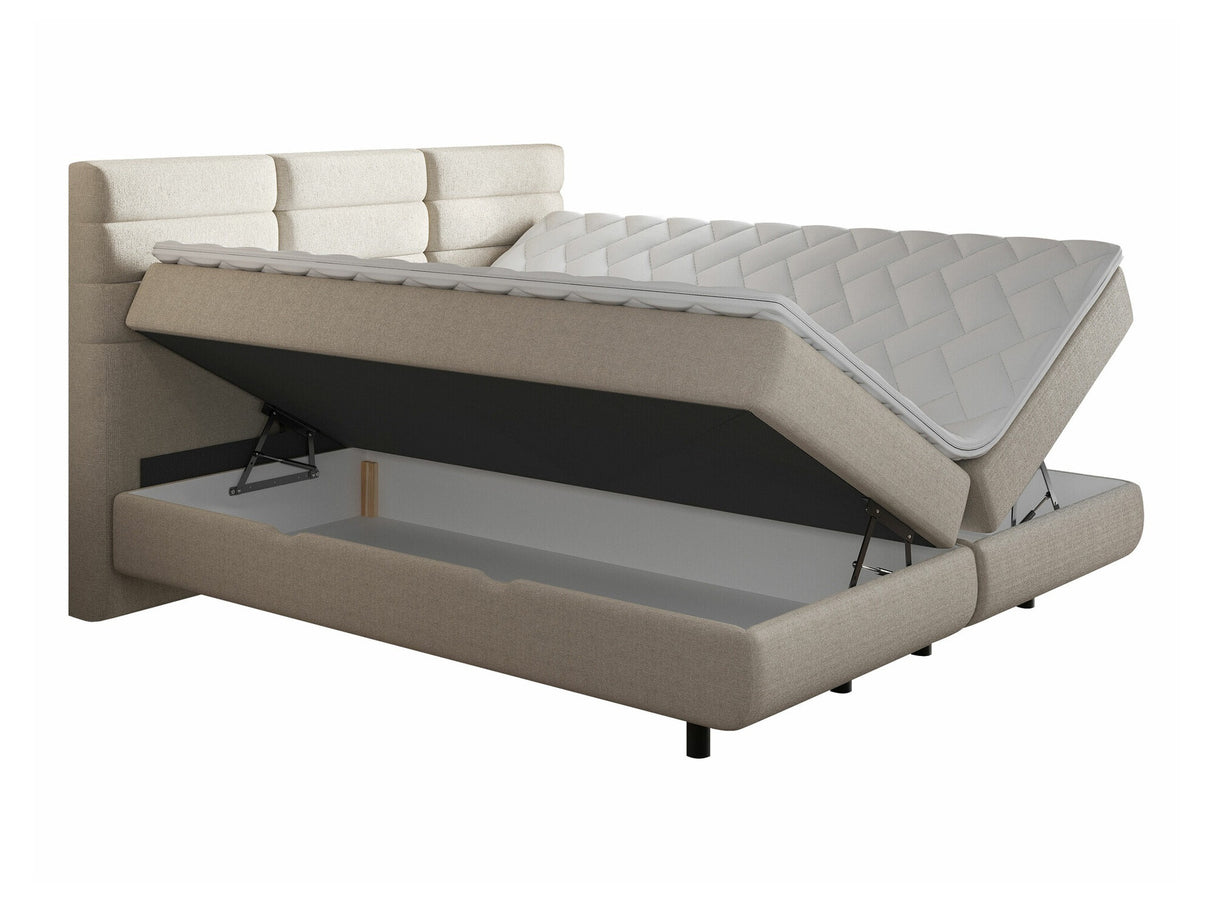 Continental lova 501441