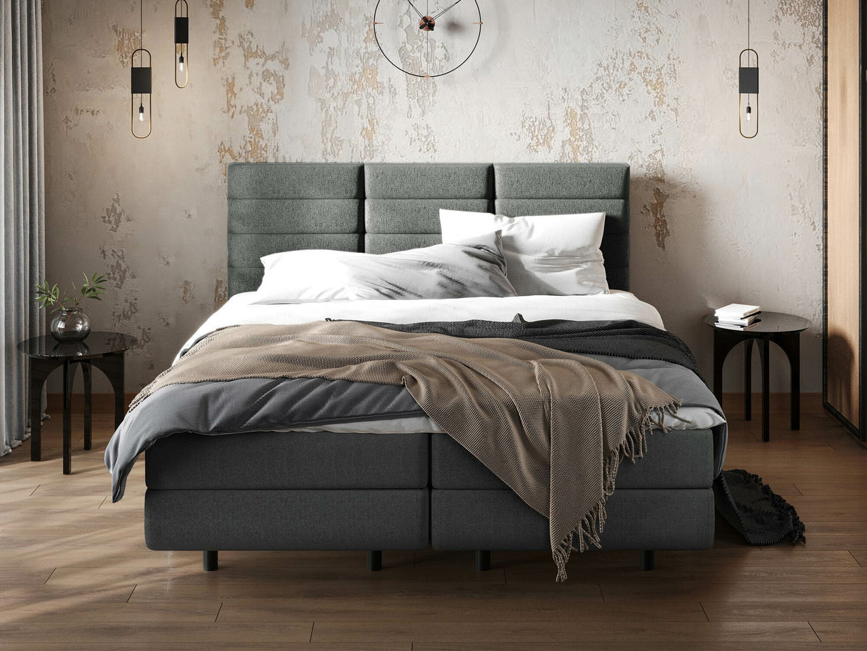 Continental lova 501441