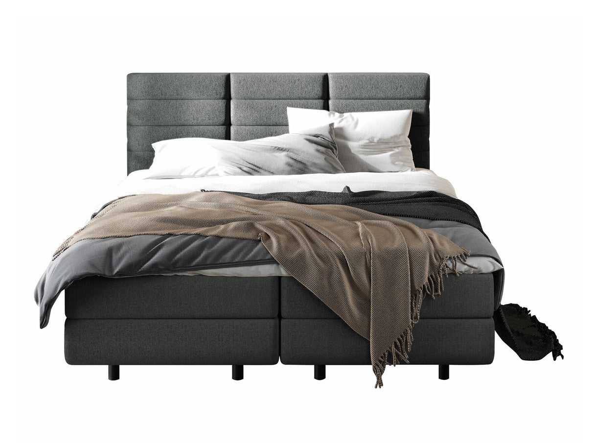 Continental lova 501441