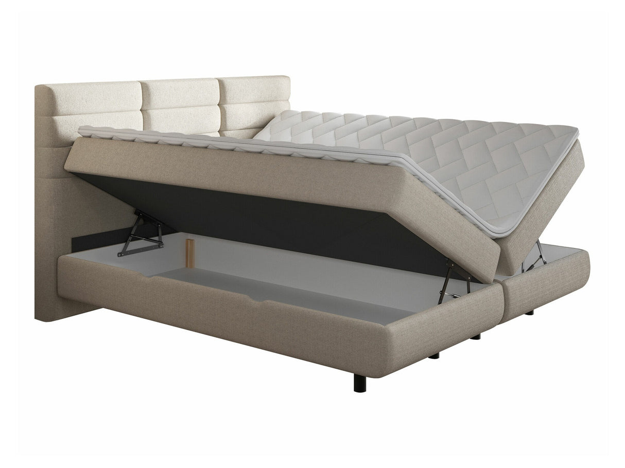 Continental lova 501441