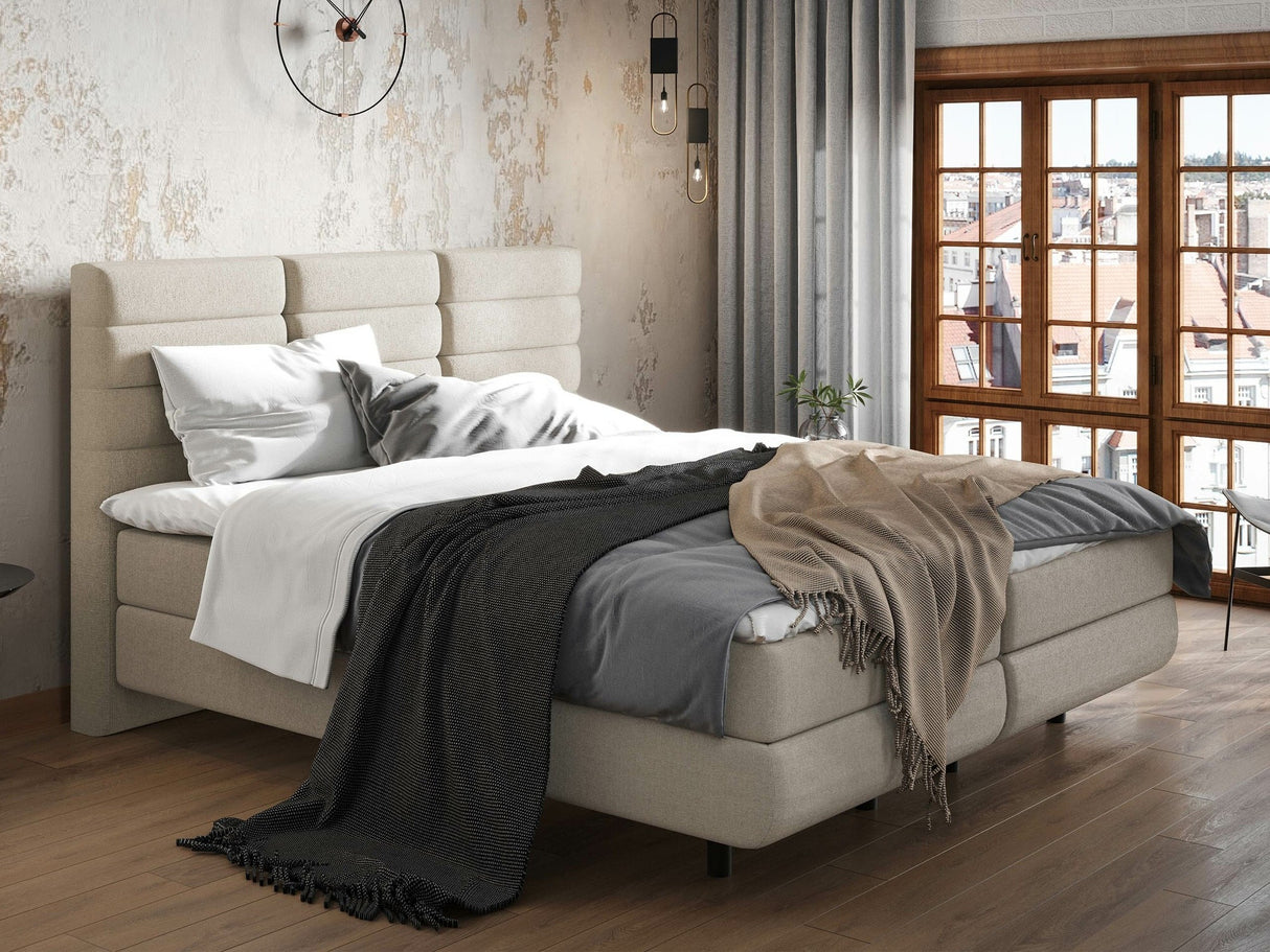 Continental lova 501441