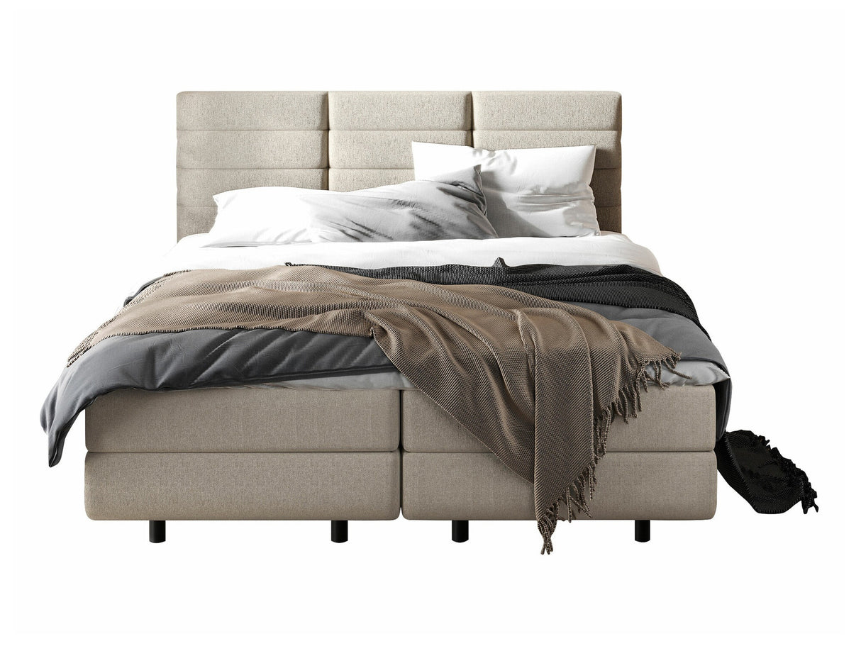 Continental lova 501441