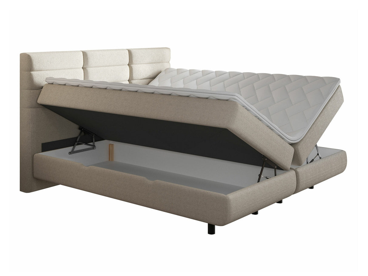 Continental lova 501441