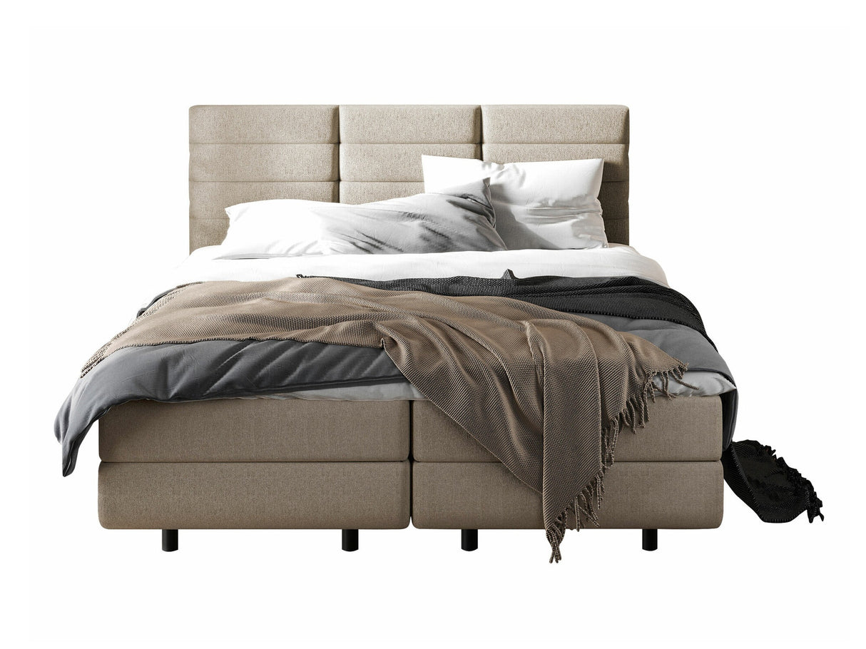 Continental lova 501441