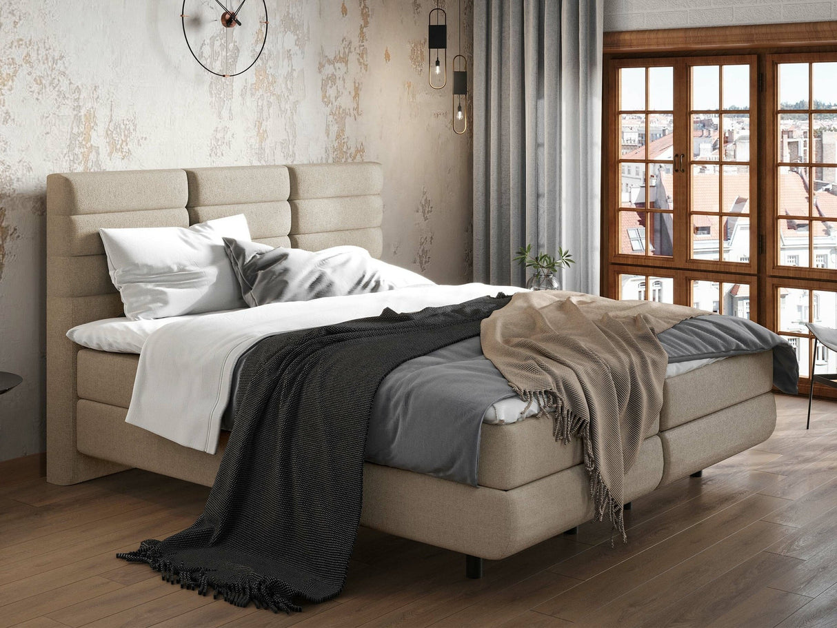 Continental lova 501441