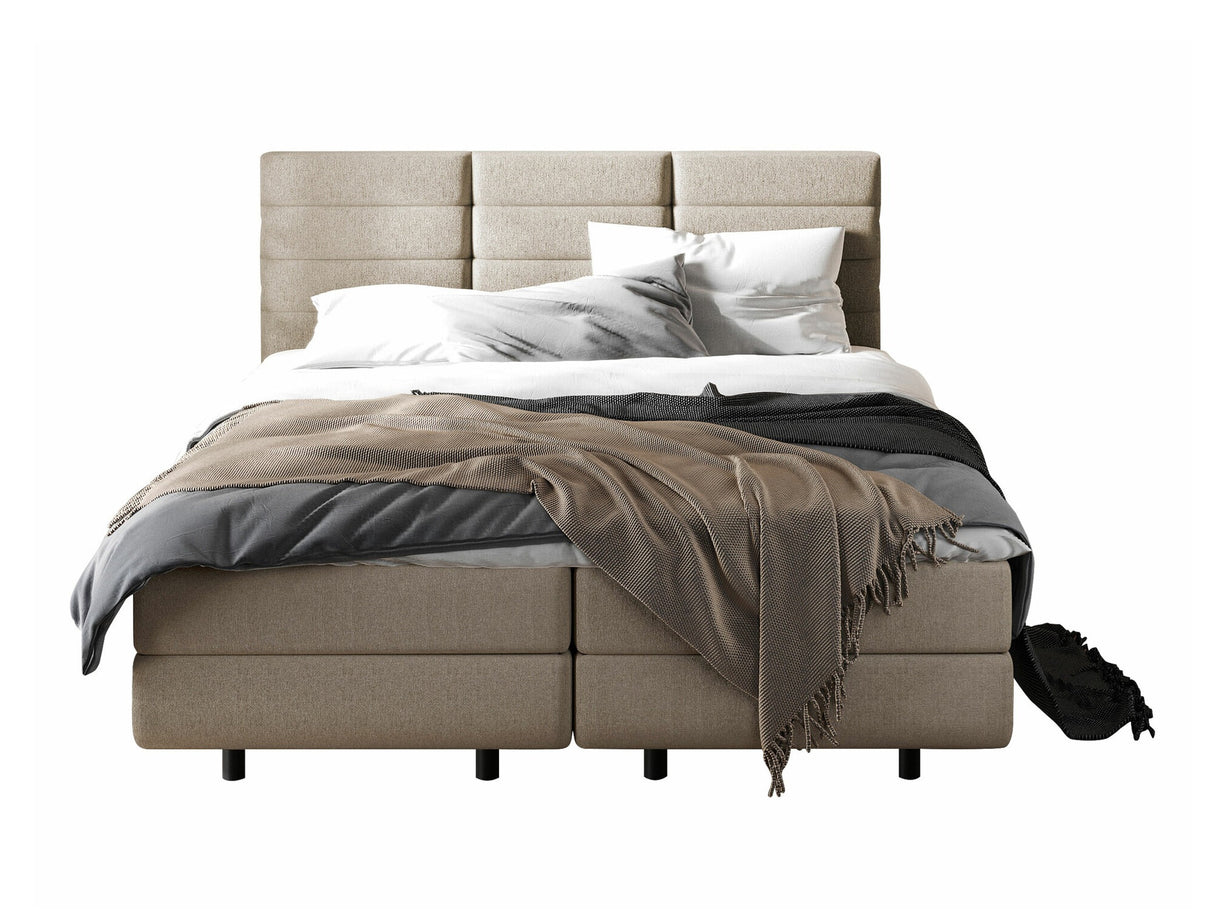 Continental lova 501441